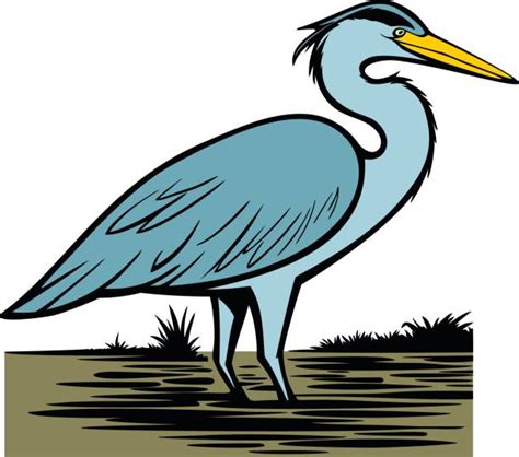 Great Blue Herons Pic Illustrations Royalty Free Vector Graphics