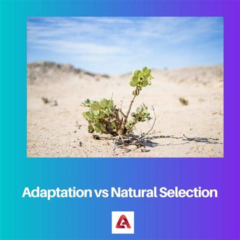 Adaptation Vs Natural Selection Difference And Comparison