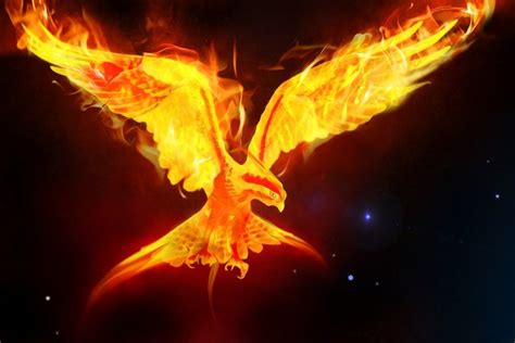 A Phoenix Rising From The Ashes Inspire Learning Teaching School Hub