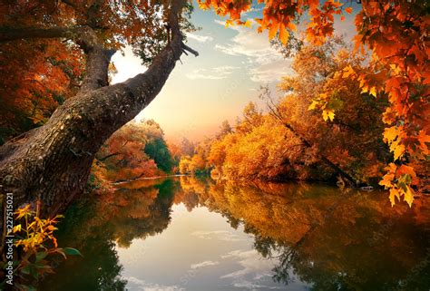 Orange Autumn On River Stock Photo Adobe Stock