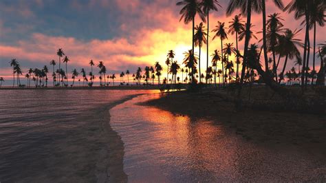 2560x1440 Palm Trees Sunset Sea 1440p Resolution Hd 4k Wallpapers