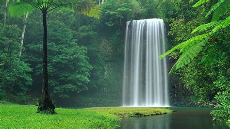 Beautiful Waterfalls Pouring On Lake Green Grass Field Trees Plants
