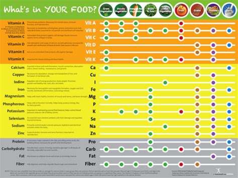 Handout Sneak Peek Vitamin And Mineral Chart Nutritioneducationstore Com