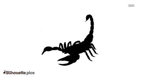 Cute Scorpions Clip Art Library