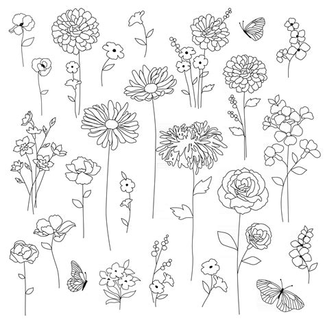 hand drawn botanical flowers black outline drawings 2461825 Vector Art 