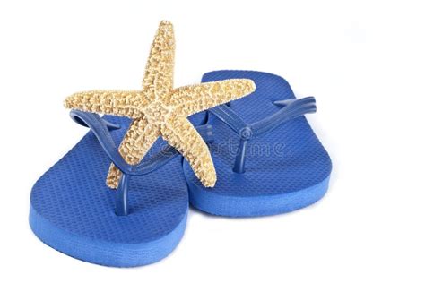 Starfish On Blue Flip Flop Stock Image Image Of Colorful 19612751