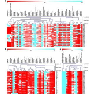 Taxonomic Classification Of Microbial DNA Sequences From Soil