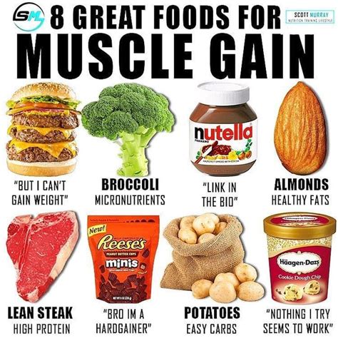 Repost Albygonzalezfitness • • • • • 🔴foods For Muscle Gains🔴 By