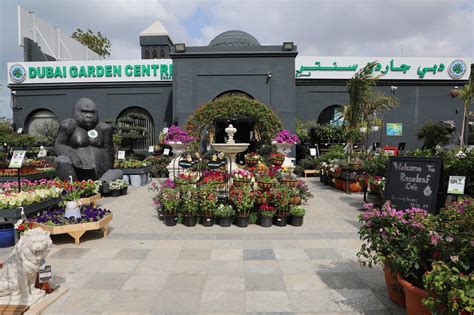Dubai Garden Centre Dubai Review Rate Your Customer Experience