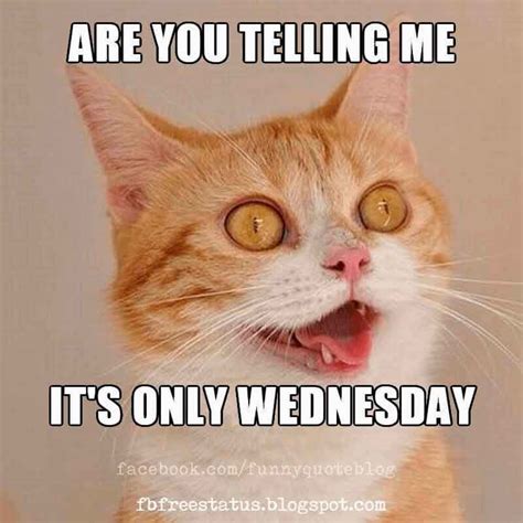 Are You Telling Its Only Wednesday Happy Wednesday Meme Funny
