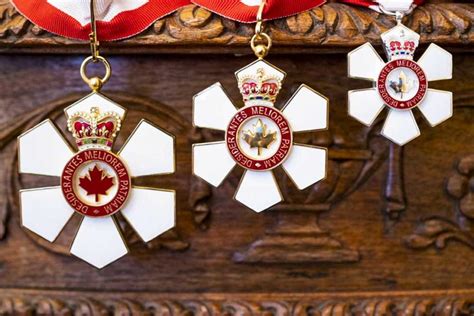 eleven members of the mcgill community appointed to the order of canada mcgill reporter