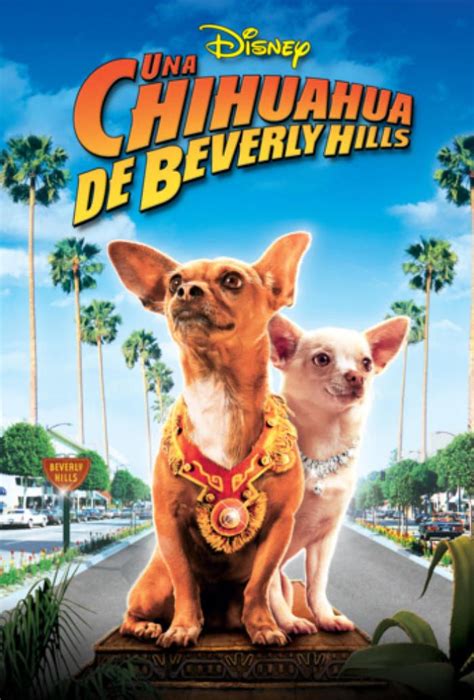 Follow star magazine for the latest news and gossip on celebrity scandals, engagements, and divorces for hollywood's and entertainment's hottest stars. Una chihuahua de Beverly Hills - Mejores películas en ...
