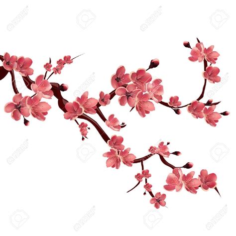 Dessin paysage peinture sous verre dessins mignons illustrations linogravure estampe japonaise motif fleurs estampes art japonais. Branche de rose sakura floraison. cerisier japonais. Vector Illustration isolé sur fond blanc ...