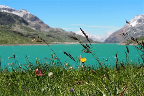 17 Interesting Facts About Switzerlands Lakes And Mountains