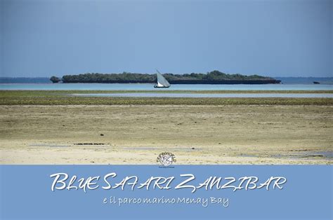 Blue Safari Zanzibar E Il Parco Marino Menay Bay Tripinworld