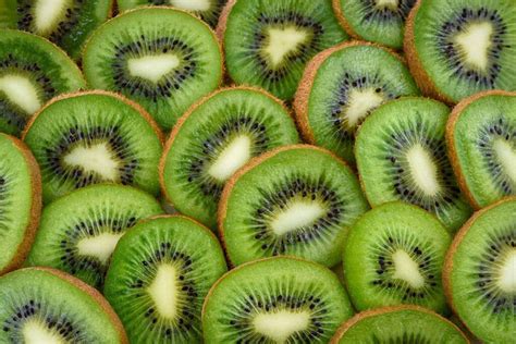 Varieties Of Kiwi The Most Popular In The World And In Spain Global