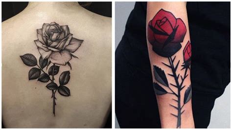 Un tatuaje de rosa con espinas muestra un par de símbolos: Tatuajes de rosas 2021 【 Significado y 32 ideas para ...