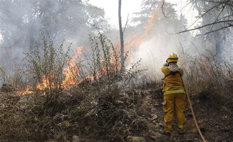 Reporte Oficial Por Los Incendios En Argentina Tres Focos Activos