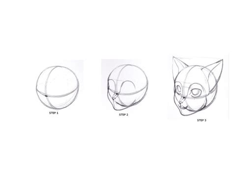 Want to discover art related to furrycat? how to draw furry cat head by fortkodi012 on DeviantArt