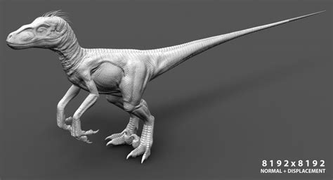 Buy Velociraptor Rigged Fully Rigged 3d Models Online