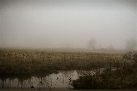 Foggy Marsh Scenery Landscape Photography Landscape Photos