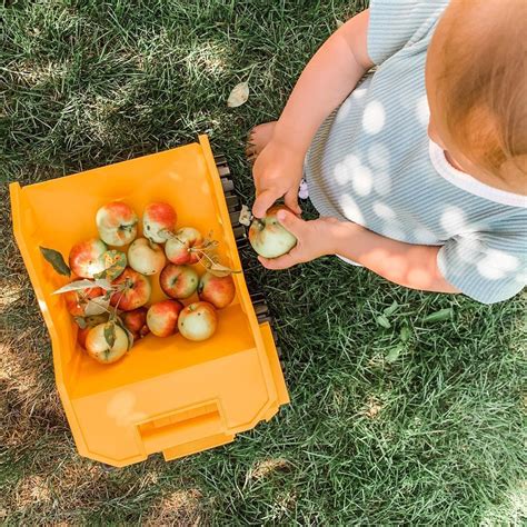 E M I L Y On Instagram Making Our Own Backyard Fun Dump Trucks Full