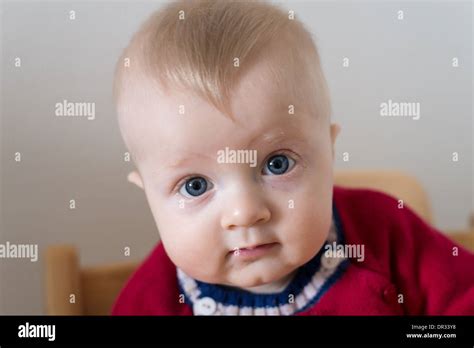 Portrait Of A Six Month Old Baby Boy Looking Curious At The Camera