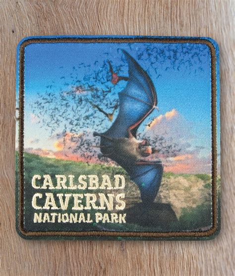 Carlsbad Caverns Explore 119 Caves And Desert Beauty Wnpa