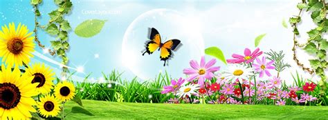 Summer Day Butterfly Flowers Bubbles Facebook Cover Facebook Cover