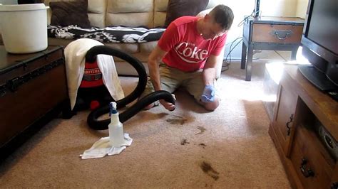 Download How To Clean Dog Diarrhea Off Rug Pics How To Clean A Rug