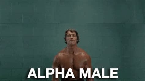 Alpha Male Gif Alpha Male Discover And Share Gifs