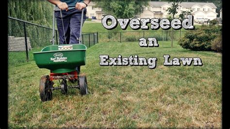 How To Prep Lawn For Overseeding 1 When And How To Overseed A Lawn