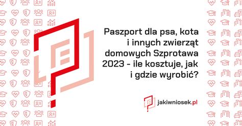 Paszport dla psa kota i innych zwierząt Szprotawa 2023 Jak wyrobić