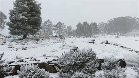 Oberon A Winter Wonderland After Heavy Snow Overnight Reader Photos
