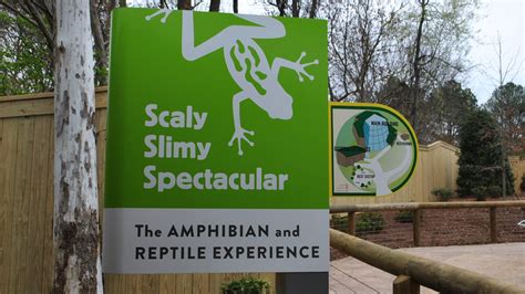 Scaly Slimy Spectacular Slithers To Zoo Atlanta