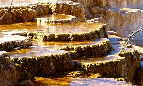 Mammoth Hot Springs Yellowstone National Park Alltrips