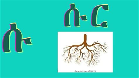 ፊደላት ትግርኛ ንህጻናት ኣብ ገዛ መምሃሪ Eritrea Tigrinya Alphabet For Kids To