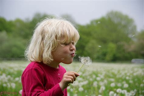 Little Girl Blowing Dandelion Seeds Photo Wp12591
