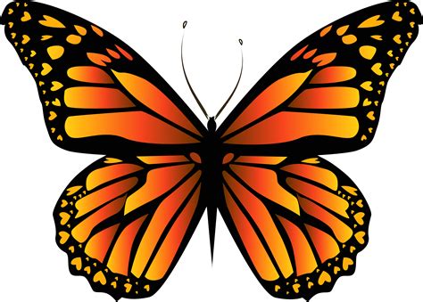 Download Hd Orange Butterfly Png Clipar Image Monarch Butterfly