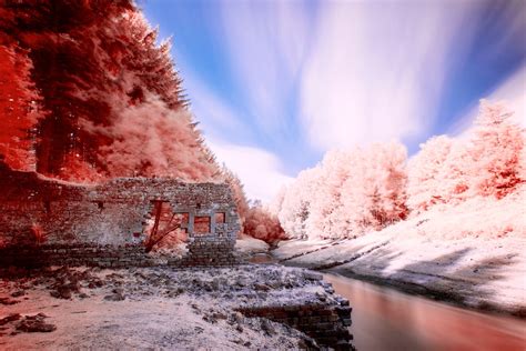 Infrared Film Photography Tutorial 43 Wedding Ideas You Have Never