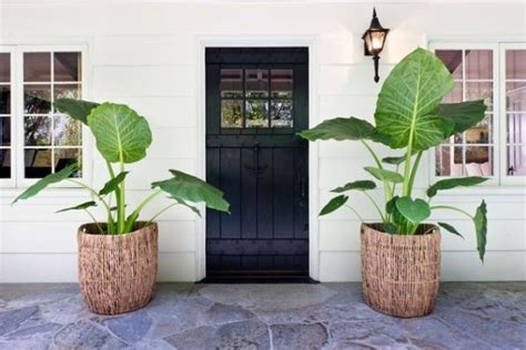 40 Front Door Flower Pots For A Good First Impression