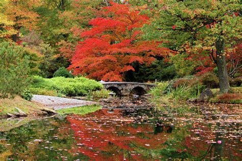 Maymont Japanese Gardens Photograph By Jean Haynes Fine Art America