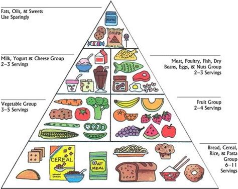 While the underlying principles of the food guide pyramid continue to have value as you make your. The Updates To The Food Pyramid!
