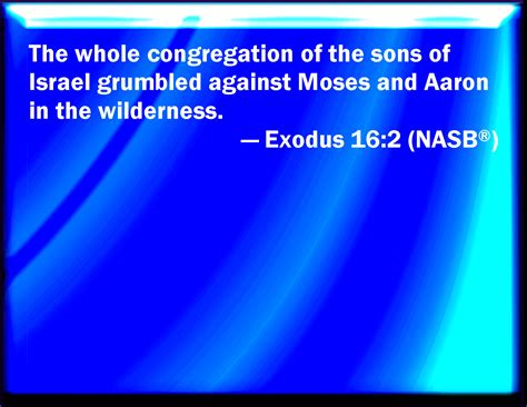 Exodus 162 And The Whole Congregation Of The Children Of Israel