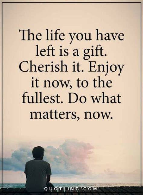 Life Quotes The Life You Have Left Is A T Cherish It Enjoy It Now