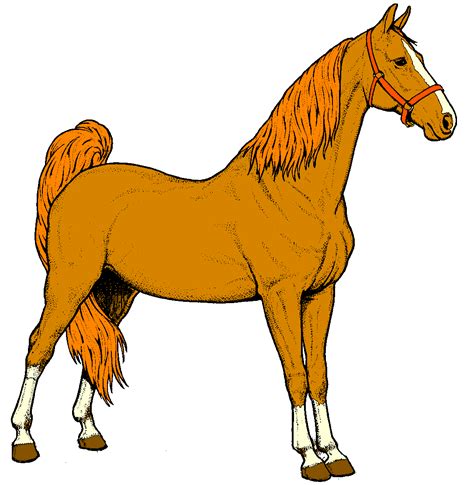 Horse Clipart Free Free Download On Clipartmag