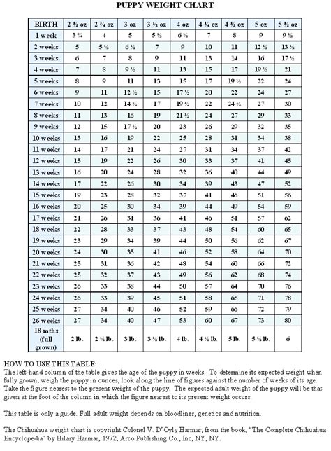 Chihuahua Weight Chart Grams A Visual Reference Of Charts Chart Master