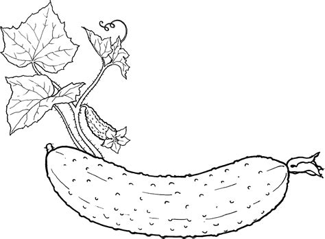 Vegetable Coloring Pages for childrens printable for free