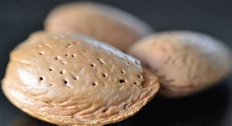 14 Different Types Of Almonds You Should Try