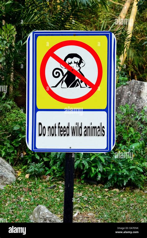 Do Not Feed Wild Animals Sign Stock Photo Alamy